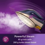 اتوبخار فیلیپس مدل DST8041